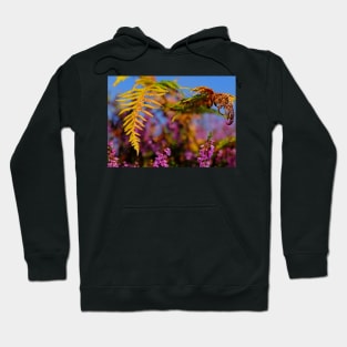 August Moorland Hoodie